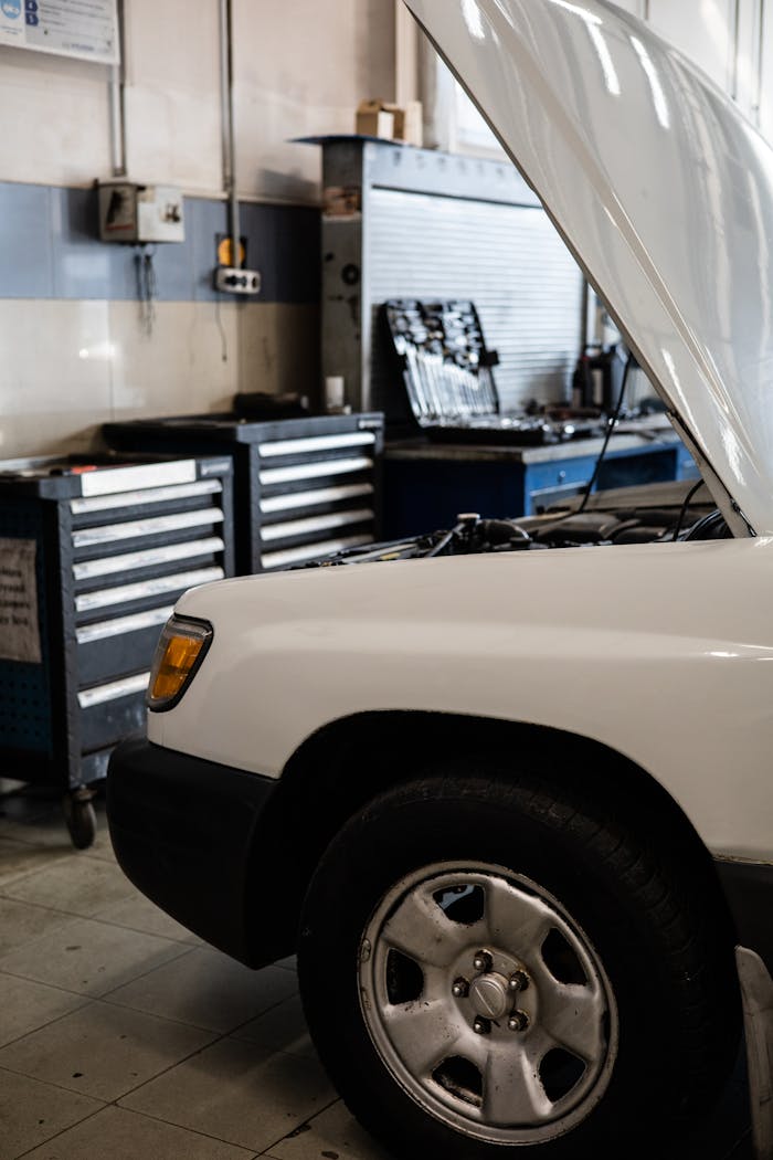 Diagnostics​